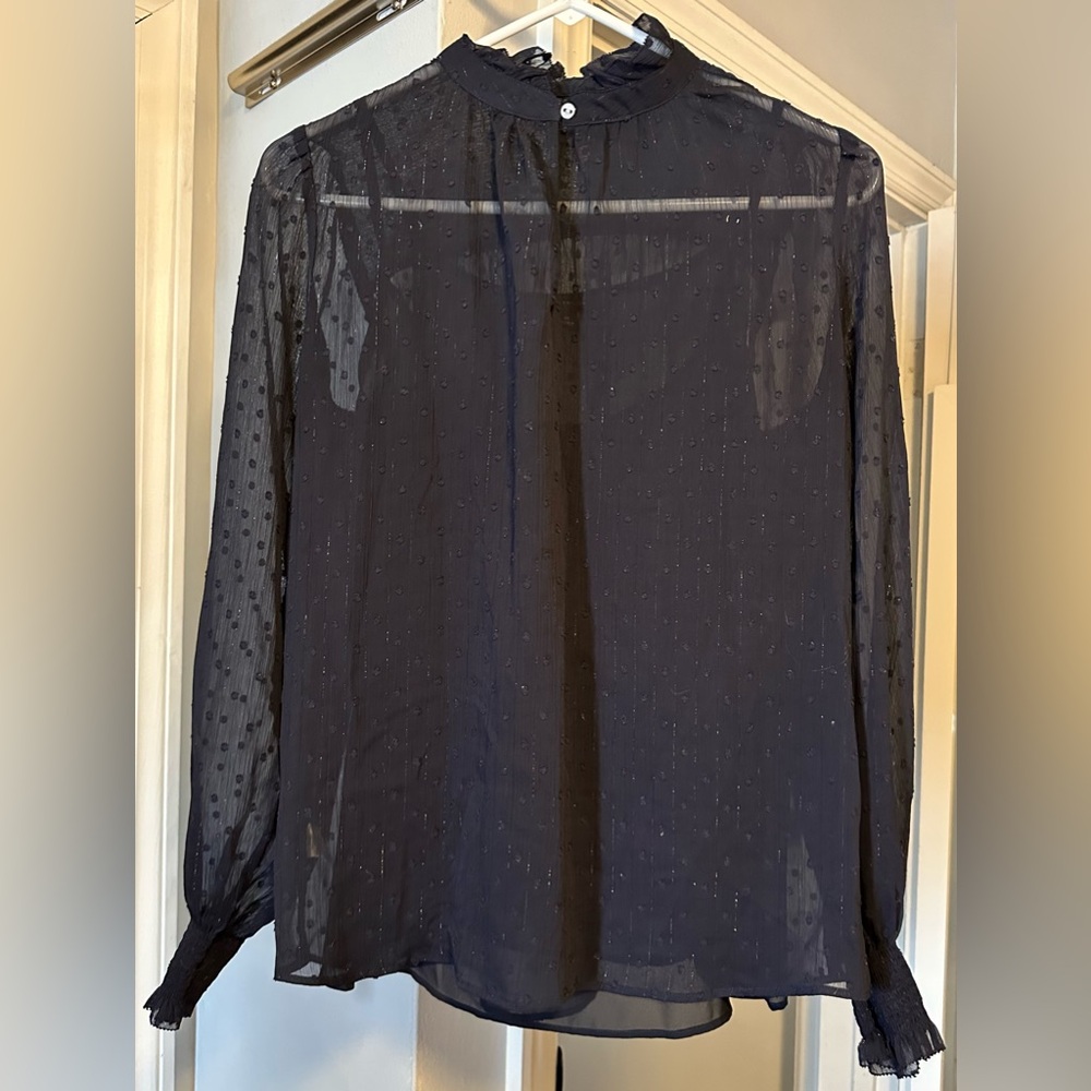 Ann Taylor Navy Blue Sheer Blouse
